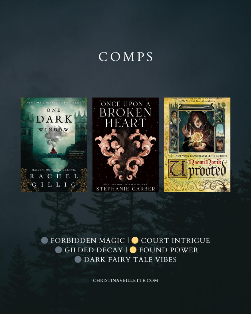 Comps:
Rachel Gillig's One Dark Window, Stephanie Garber's Once Upon a Broken Heart, Naomi Novik's Uprooted.
Forbidden magic, court intrigue, gilded decay, found power, dark fairy tale vibes.
christinaveillette.com